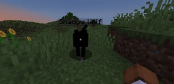 ShadowsZ screenshot