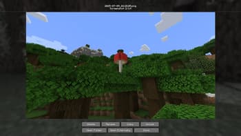 Snapper screenshot