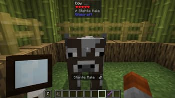 [BUB] Gender screenshot