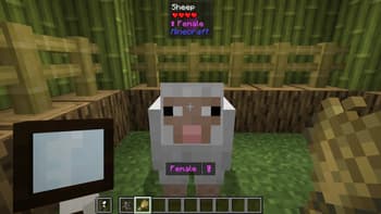 [BUB] Gender screenshot