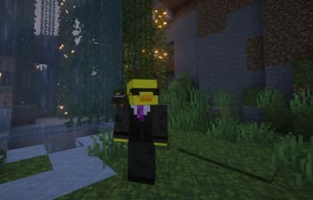 Duck Totems screenshot