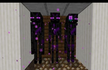 SpiderFault 16x screenshot