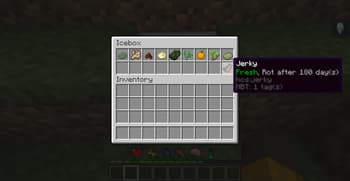Hardcore Survival screenshot