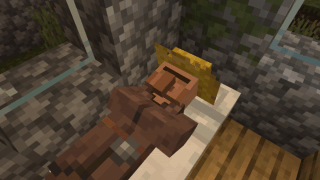 Vanilla Reimagined+ screenshot