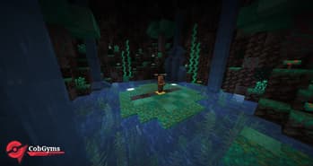 CobGyms - Unofficial Cobblemon Gyms screenshot