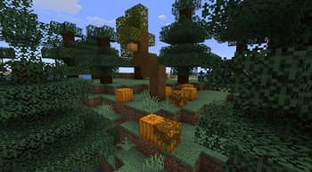 Abundant Atmosphere screenshot