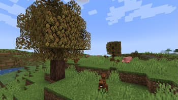 Ecologics screenshot