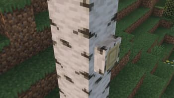 Log Stubs screenshot