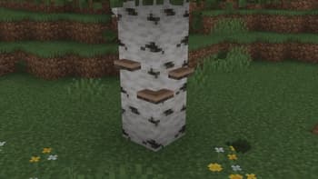Log Stubs screenshot