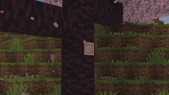 Log Stubs screenshot
