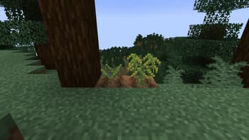 Vegan Delight screenshot