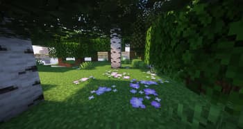 VerdantVibes screenshot