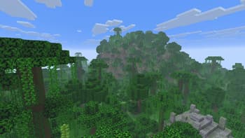 Biomer Fog screenshot