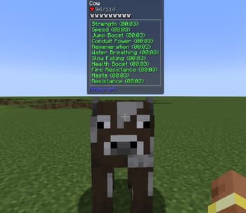 ddd's harder mobs screenshot