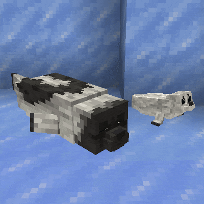 Animal Garden - Harp Seal screenshot