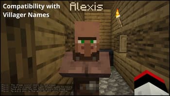 Villager Phrases screenshot