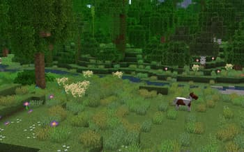 Os' Colorful Grasses screenshot