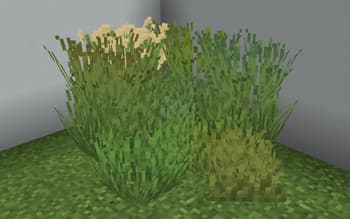 Os' Colorful Grasses screenshot