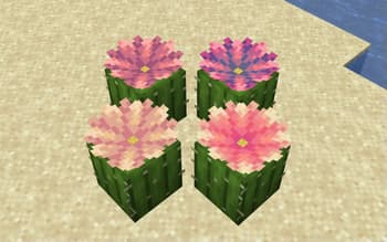 Os' Colorful Grasses screenshot