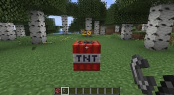 TNTimer screenshot