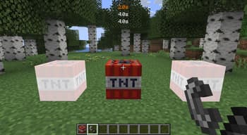 TNTimer screenshot