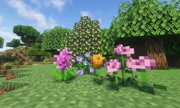 Flowerary screenshot