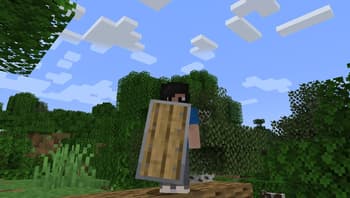Woodtype Shields screenshot