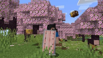 Woodtype Shields screenshot