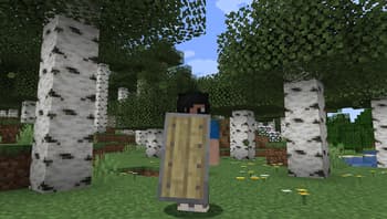 Woodtype Shields screenshot
