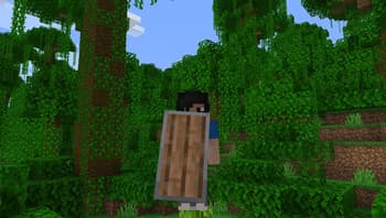 Woodtype Shields screenshot