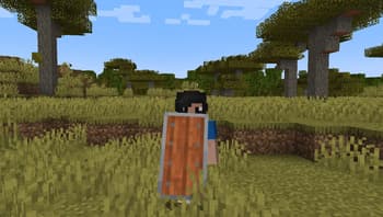 Woodtype Shields screenshot