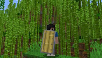Woodtype Shields screenshot