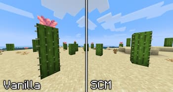 Spatial Cross Models screenshot