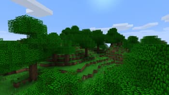 Divergence screenshot
