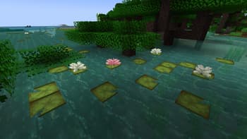Lily Padding screenshot