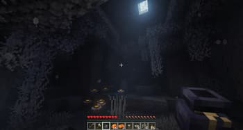 Ben's Bundles screenshot