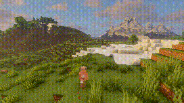 HXS's_Animation_Optimization screenshot