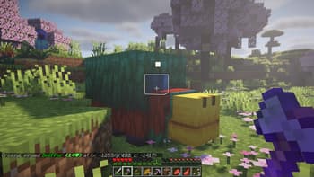Vanilla Pings screenshot