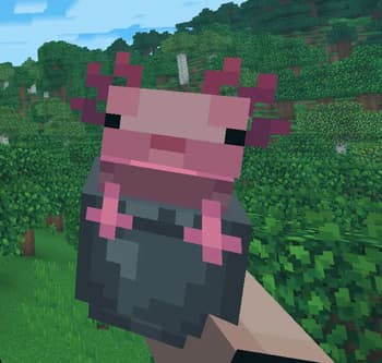 Whimscape x Hold My Items screenshot