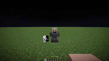 Custom Player Heads screenshot