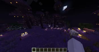 Miracleforest screenshot