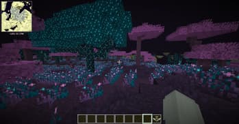 Miracleforest screenshot