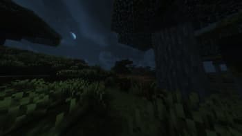 HoopieSMP screenshot