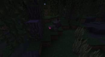 Wetland Whimsy screenshot