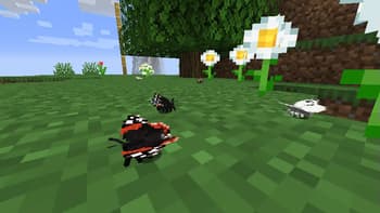 Zoo and Wild Animals: Evolved screenshot