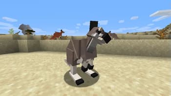 Zoo and Wild Animals: Evolved screenshot