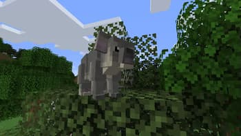 Zoo and Wild Animals: Evolved screenshot