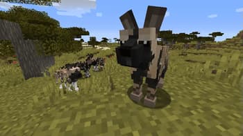 Zoo and Wild Animals: Evolved screenshot