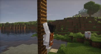 Joyful Motions screenshot