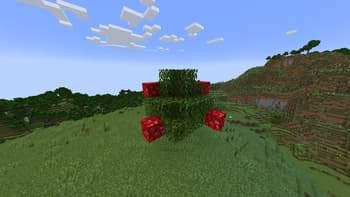 Apple Skins screenshot